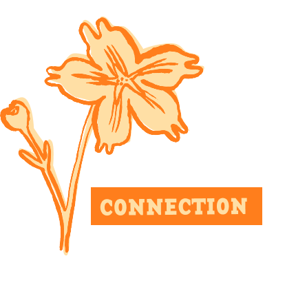 Connection
